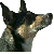 Avatar van Chaose